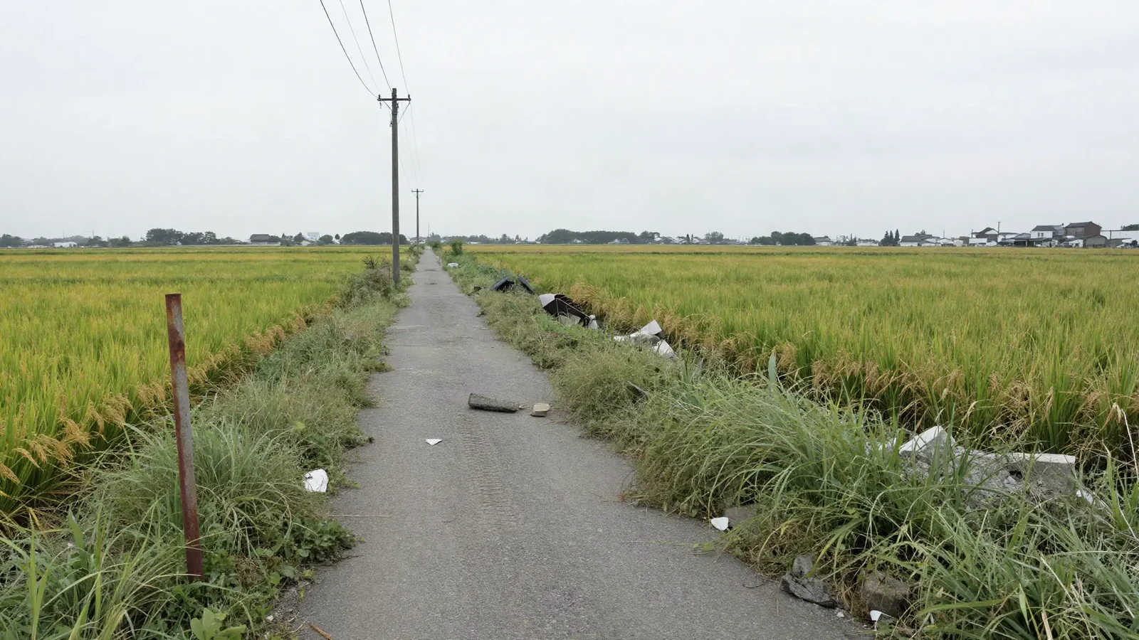 こういう土地から始まります。相続したまま使い道の決まっていない土地、資材置場、変形地。